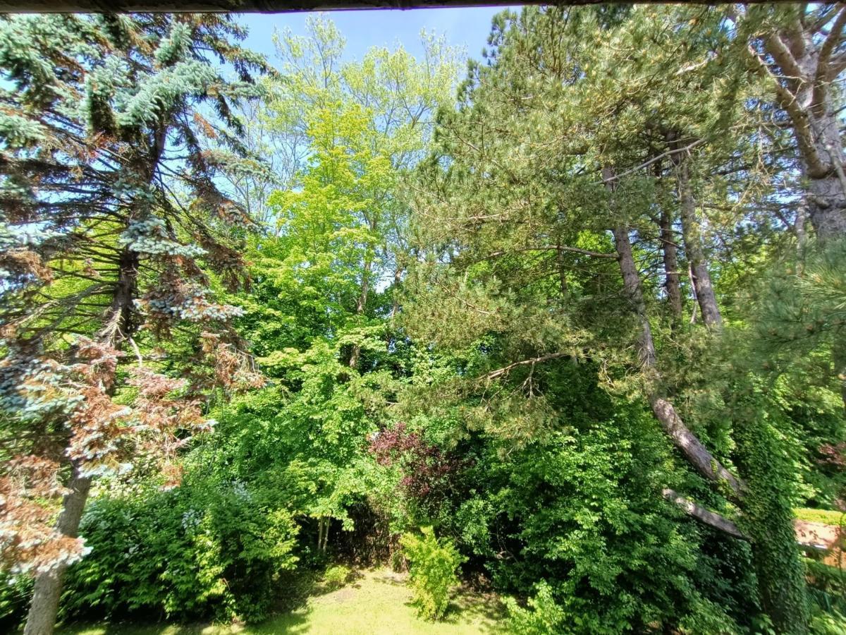 Villa 100 M Du Touquet Entre Foret Et Mer Cucq Exterior foto